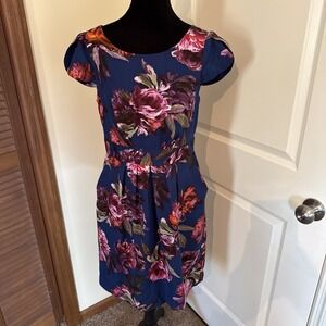 Anthropologie Moulinette Soeurs Rosado Floral Sheath Mini Dress Blue Pink Size 6